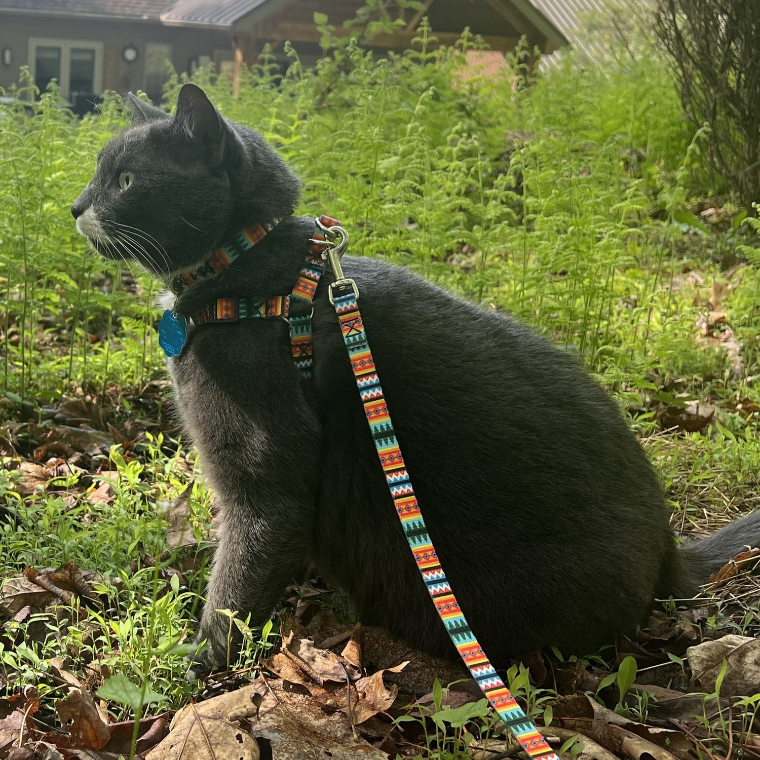 Let's Explore!