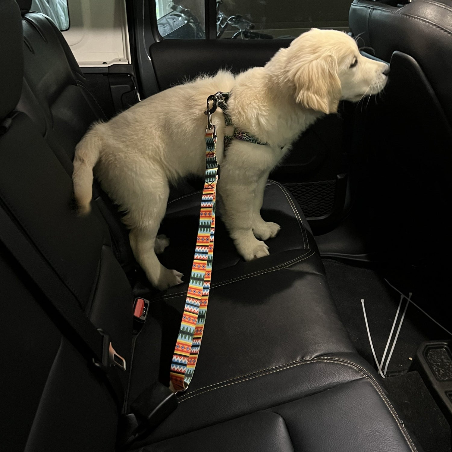 Road Trip!