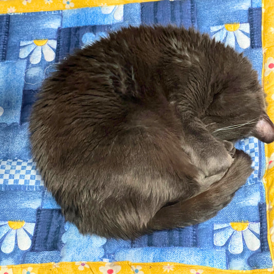 Quilted Cat Nap Mat