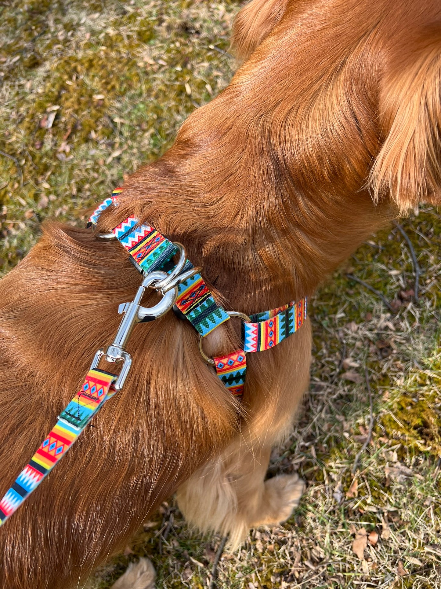 Pawfect Harness