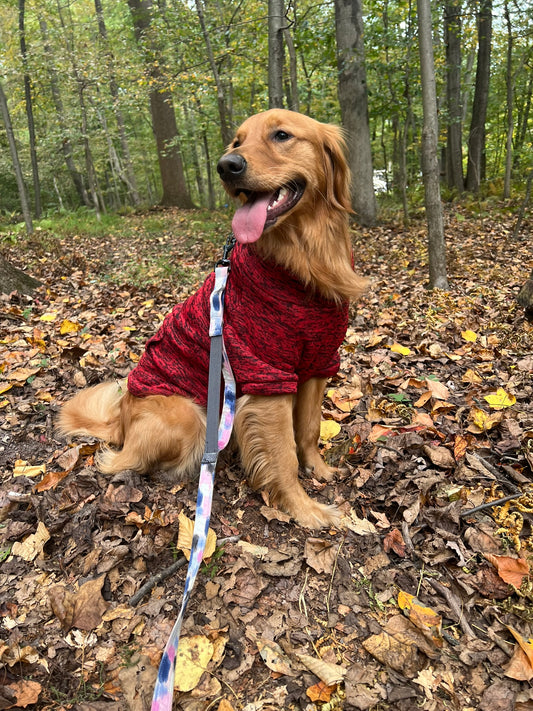Dog hoodie