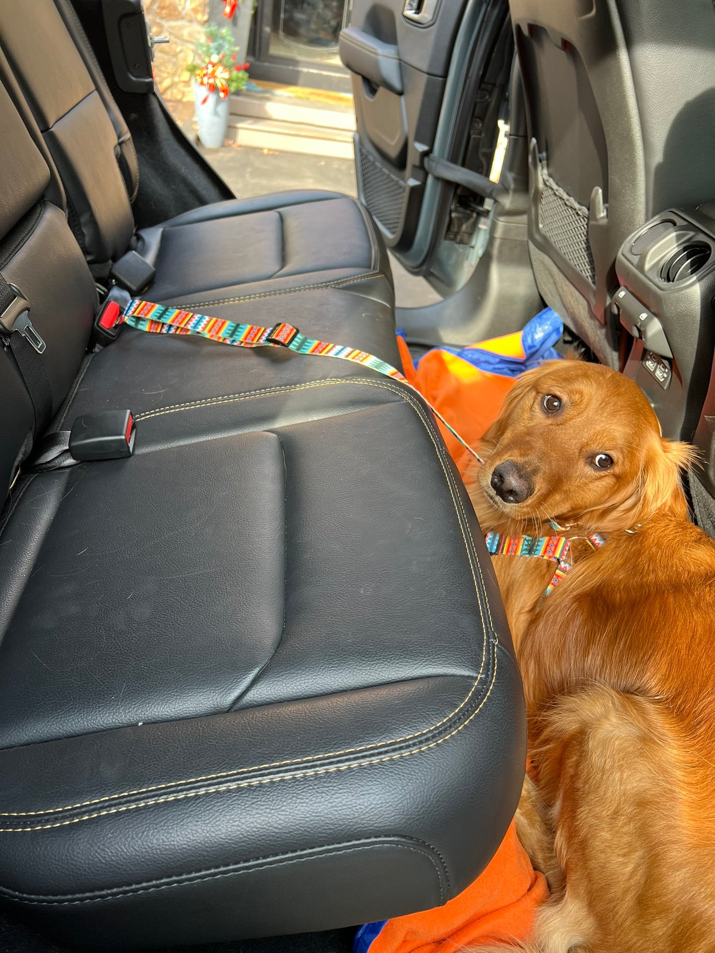 Pawfect Dog Seat belt